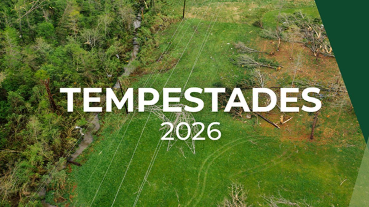 Tempestade Kristin: Ministério da Agricultura disponibiliza plataforma para sinalizar prejuízos