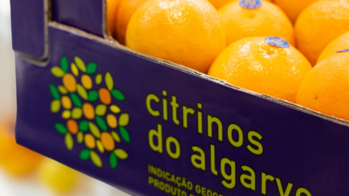 Citrinos do Algarve IGP no maior mercado de produtos frescos do mundo