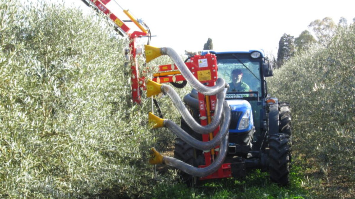 Nordeste Máquinas foca-se em equipamentos para a vinha, olival, fruticultura e frutos secos