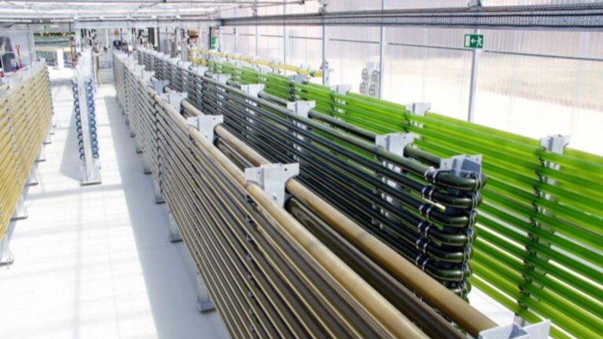 Sustentabilidade e inovação no setor vitivinícola