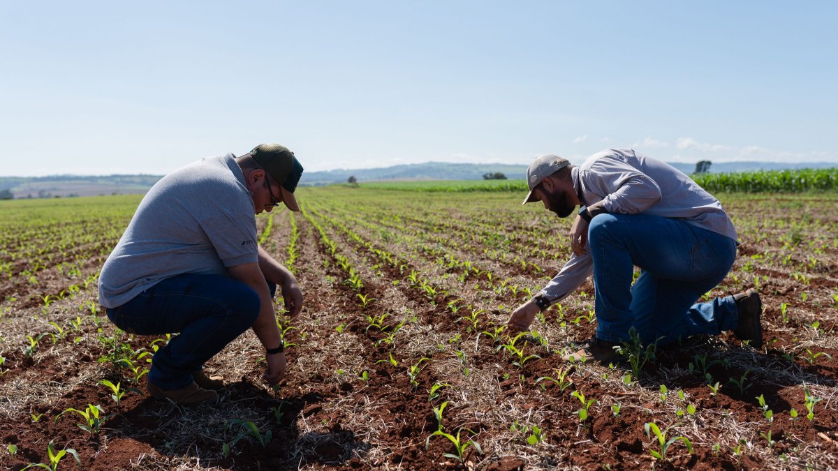Syngenta apresenta inovações em sementes e tecnologia no Congresso Nacional do Milho