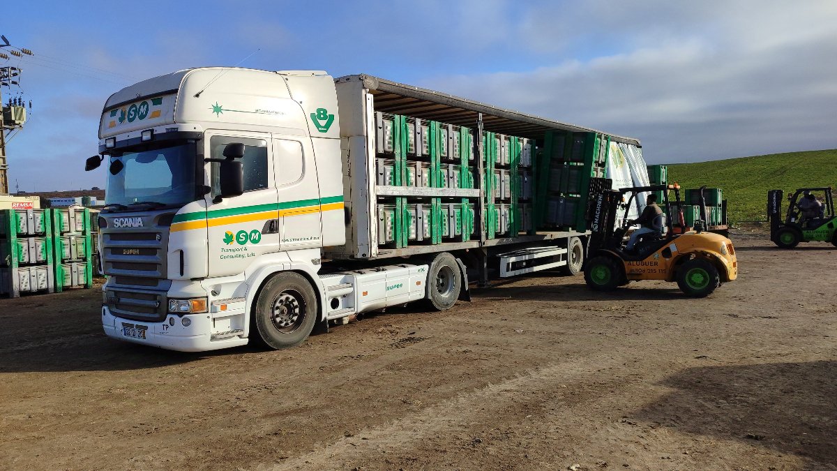 SM Transport & Consulting Lda: Logística e inovação no setor agrícola e de transportes