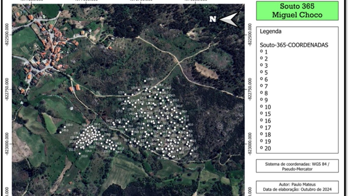 O souto dos “365”: Espaço com enorme potencial para se instalar um centro de interpretação do castanheiro