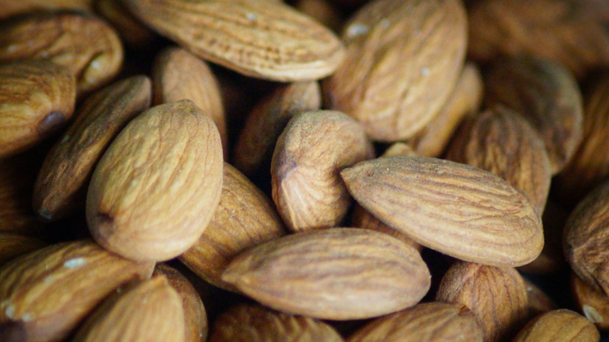Missão da Portugal Nuts é ser uma entidade  de referência com representatividade e credibilidade a nível nacional e internacional 