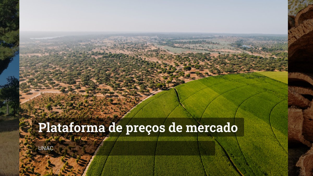 UNAC apresenta plataforma inovadora de preços para o setor florestal