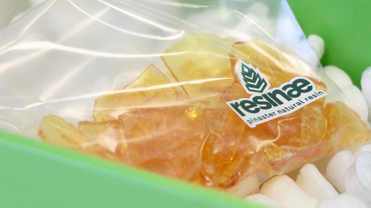 Resinae®- Marca de diferenciação e valorização  da Resina Natural de Pinheiro-bravo