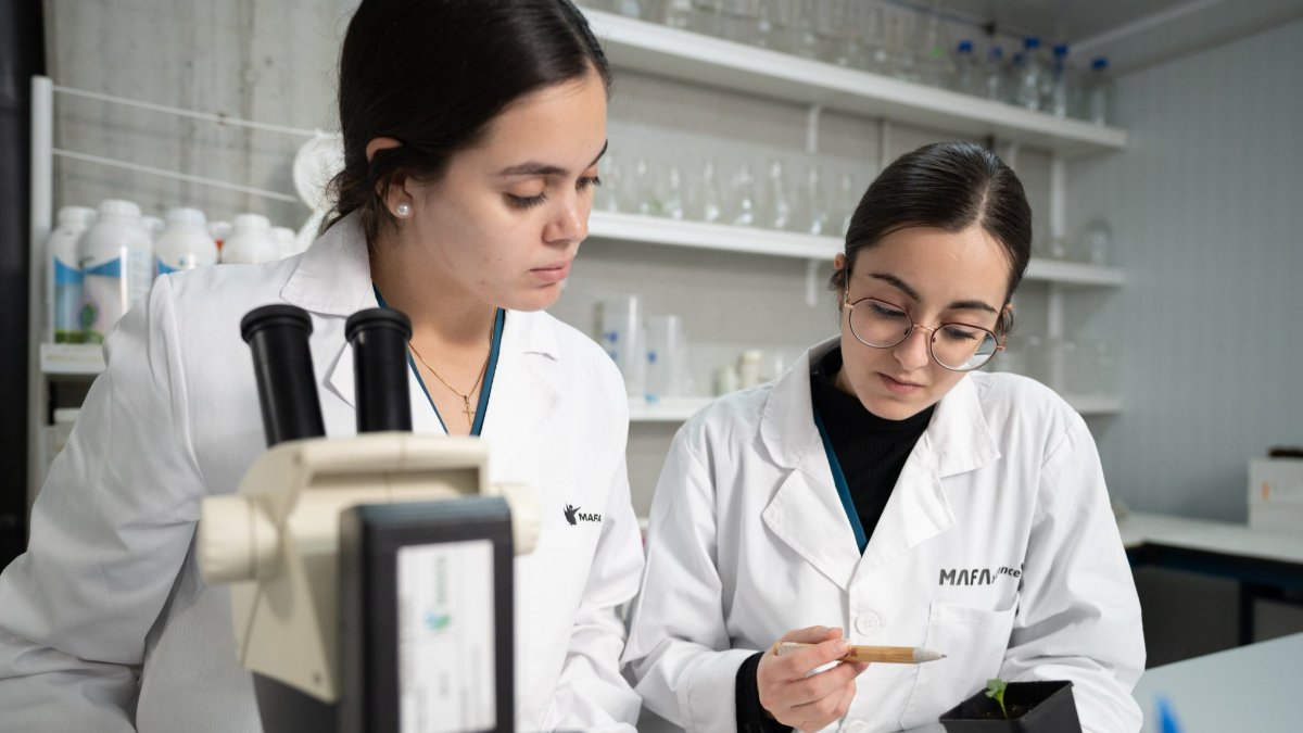 MAFA Bioscience: “Estamos sempre à procura de soluções inovadoras para os problemas dos agricultores”