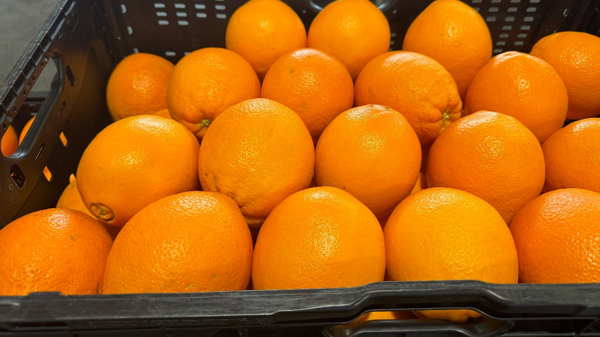 “A laranjeira não serve apenas  para produzir laranjas”