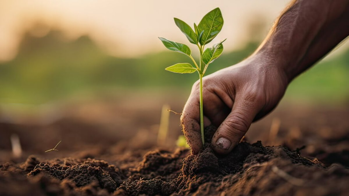 novação e compromisso na bioestimulação  agrícola com a PLYMAG