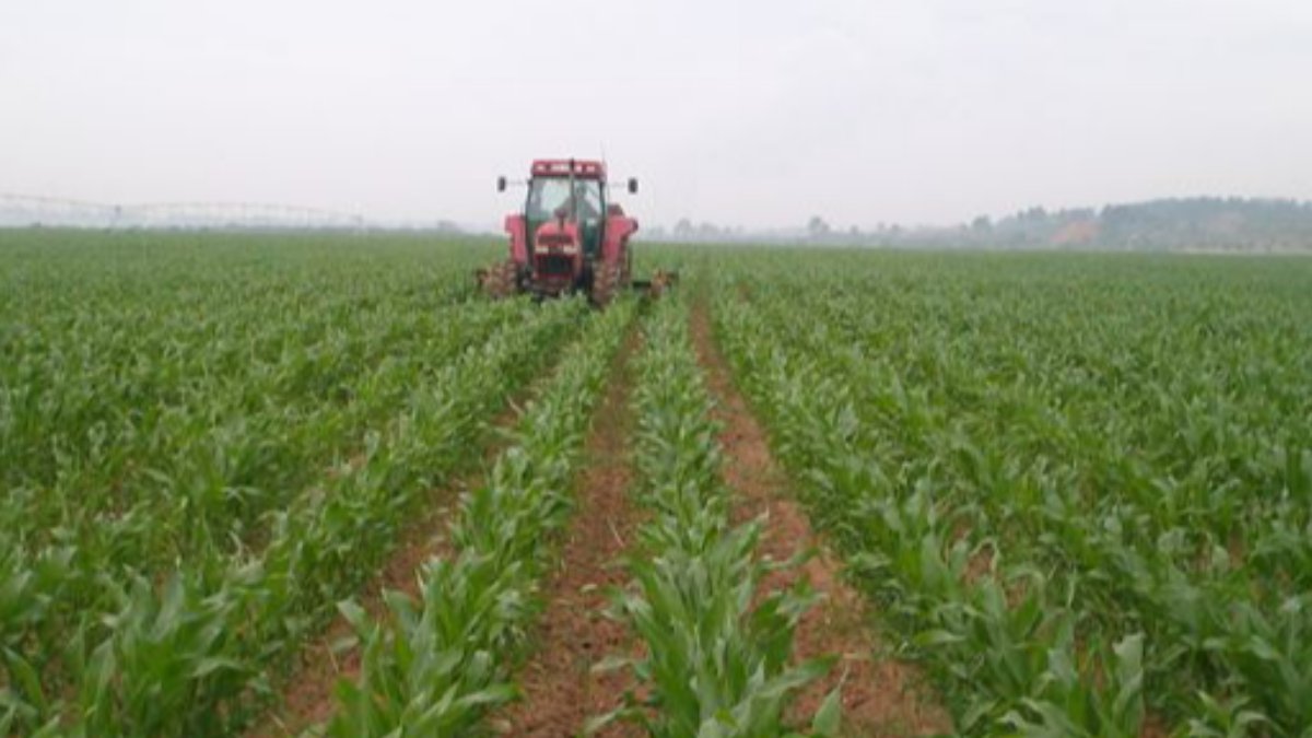 Investimentos nas explorações  agrícolas – urgência e desafios