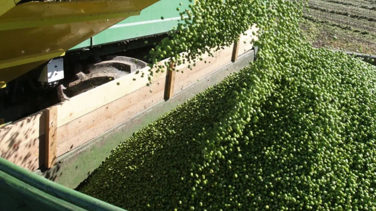Lubrificação sustentável na agricultura  com produtos Klüber